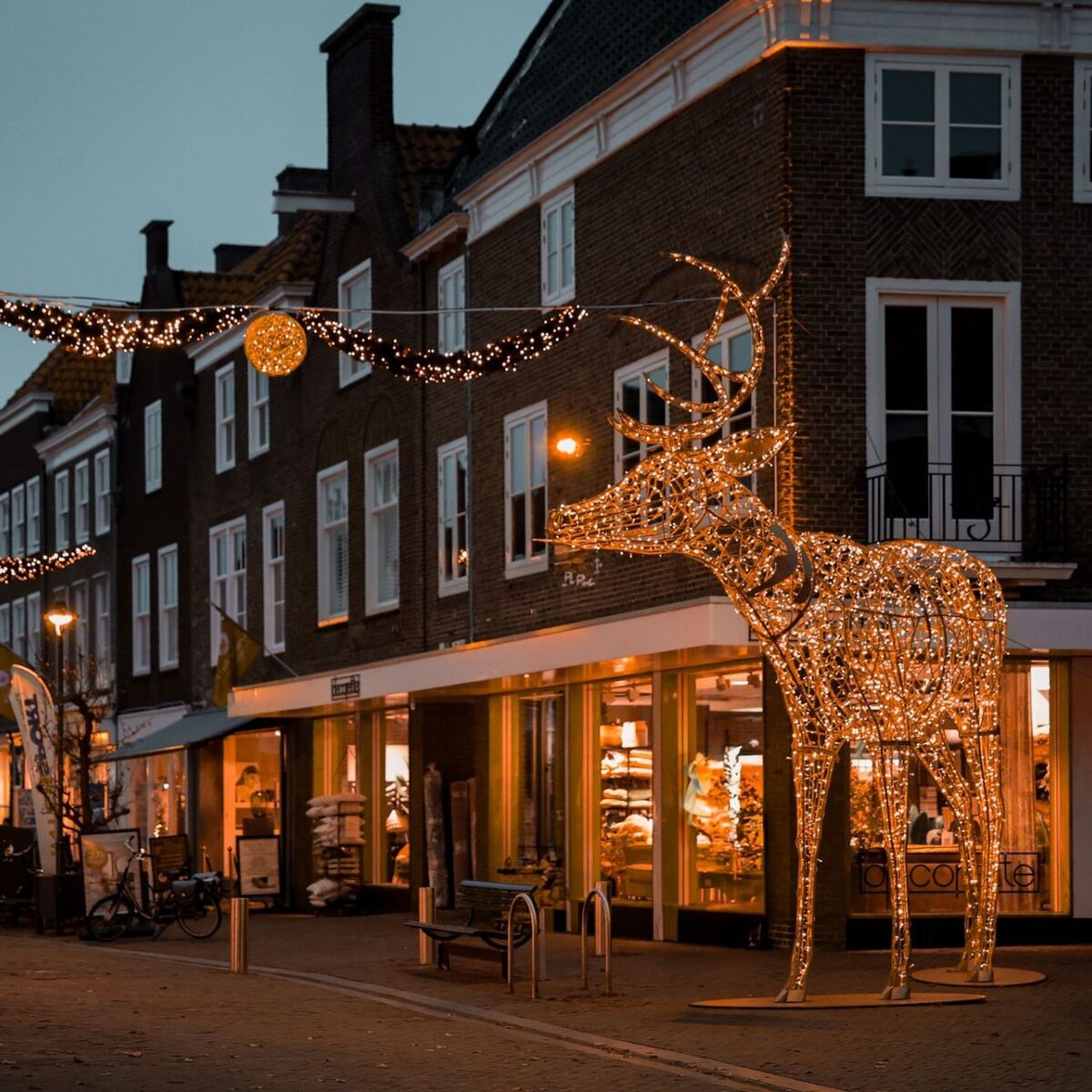 Rendier Nieuwe Burg